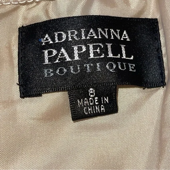 Adrianna Papell Boutique Women’s Sheath Dress Champagne Lace Over Lay Size 8 - Picture 2 of 10